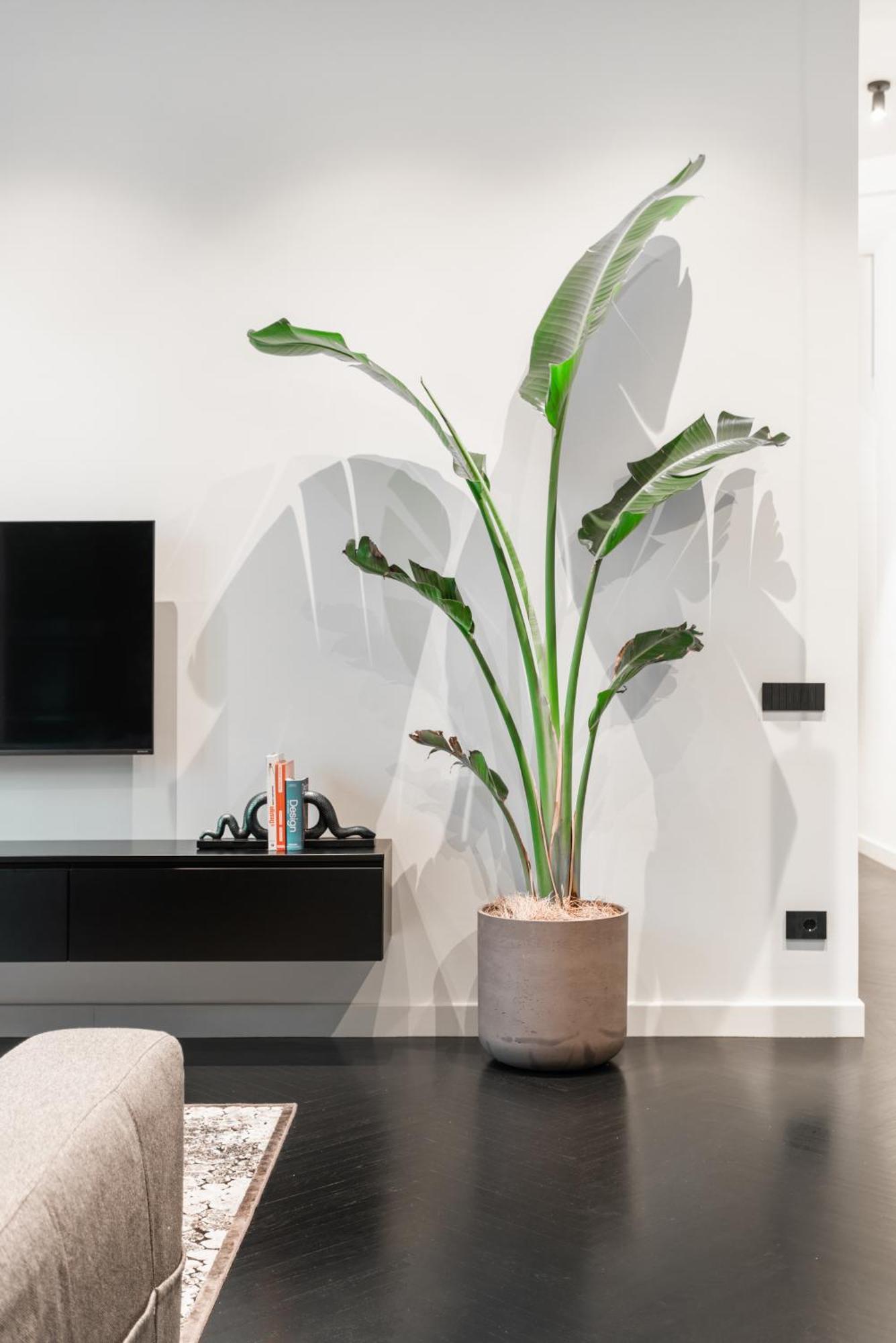 Appartamento Minimal Pv *